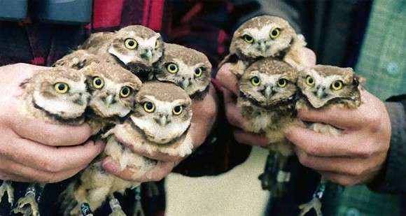 ついつい忘れてしまうこと