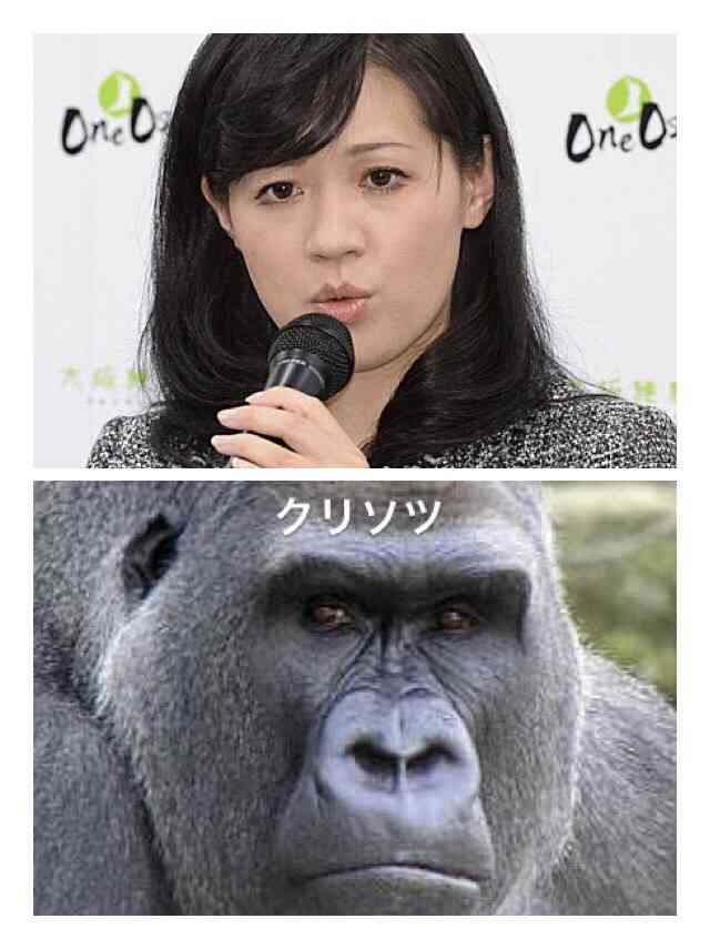対決させたら勝ちそうなのどっち？