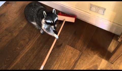 ついつい忘れてしまうこと