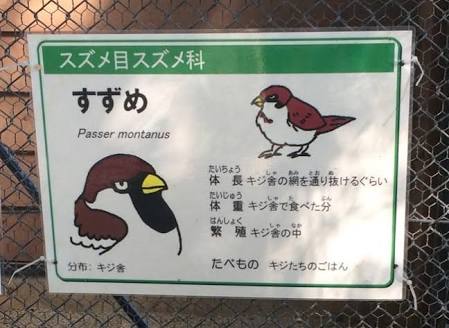 動物園で一番人気がない動物はなんだと思いますか？