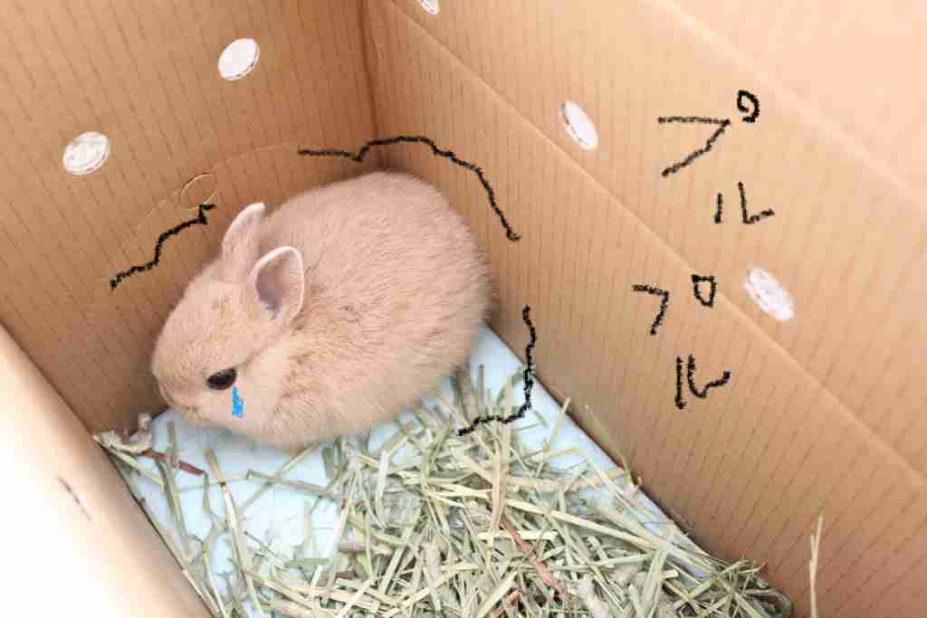 ついつい忘れてしまうこと