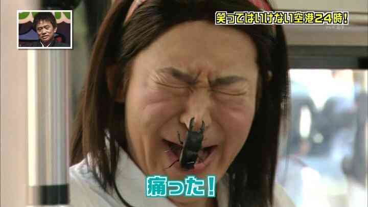 Every Little Thingを語ろう