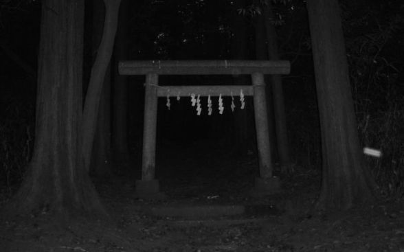 【閲覧注意】不気味な画像を貼るトピ