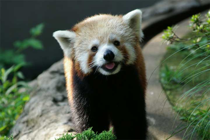 ついつい忘れてしまうこと