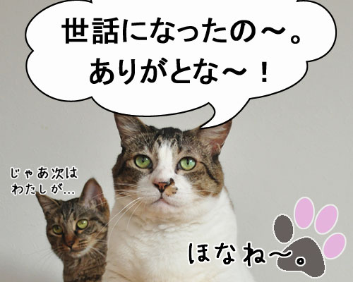 ついつい忘れてしまうこと