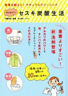 大掃除での技、お勧めありますか?
