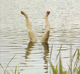 【閲覧注意】不気味な画像を貼るトピ