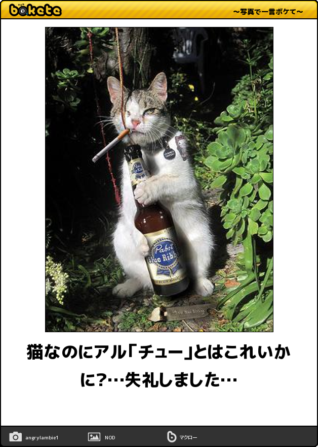 ついつい忘れてしまうこと