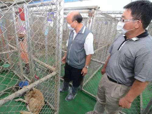 	動物保護法改正案が可決、殺処分が禁止へ／台湾 | 政治 | 中央社フォーカス台湾 MOBILE