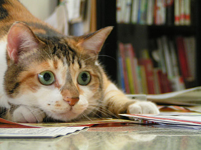 ついつい忘れてしまうこと