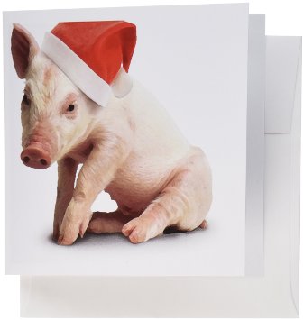 クリスマス×動物の画像下さい!