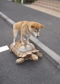 おしゃべりしたくなったら来るトピ