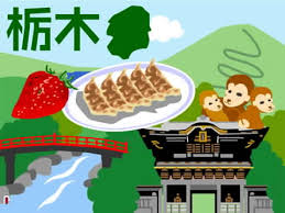 栃木県人の運転マナーは最悪　　　　　　教習所で教えないのか？ - ハリファクス侯爵とともに語ろう　　　ロンドンからの便り  　　