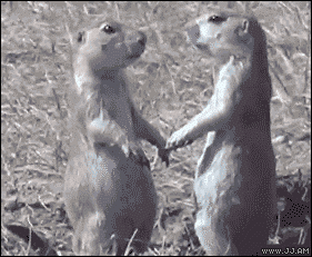 おしゃべりしたくなったら来るトピ