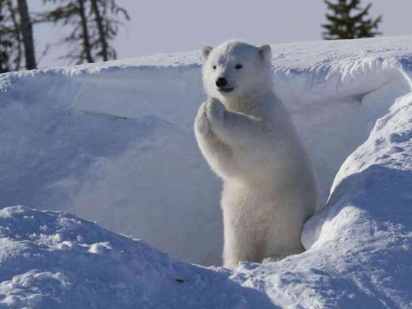 ついつい忘れてしまうこと