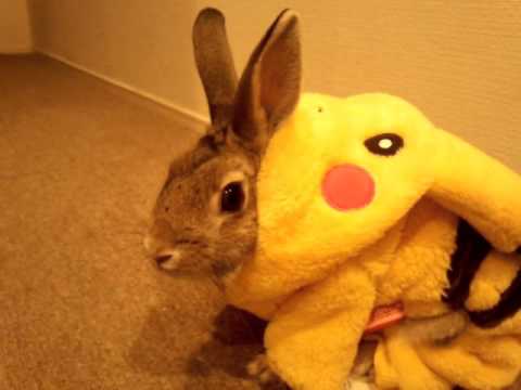 ついつい忘れてしまうこと