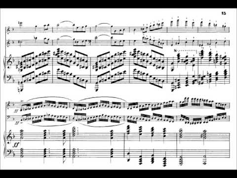Fanny Mendelssohn Hensel, Piano trio in D minor, op. 11, mvt. 1 - YouTube
