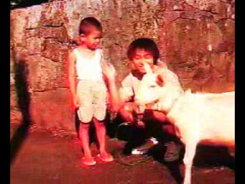 '99ANA沖縄CM Ｋｉｎｋｉ　Ｋｉｄｓ　♪フラワー♪ - YouTube