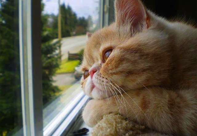 ついつい忘れてしまうこと