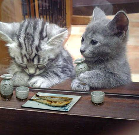 ついつい忘れてしまうこと