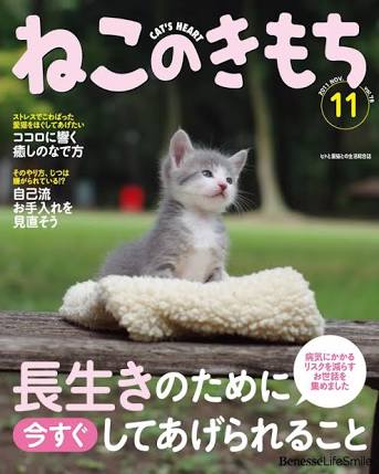 ペットに市販のもの以外で食べさせてるものはありますか?