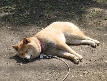 週末何してましたか？