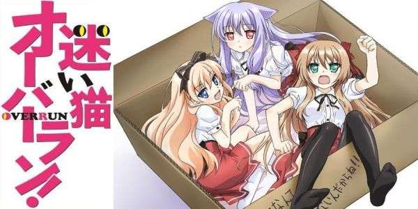 自分にとってのNo.1アニメ教えてください