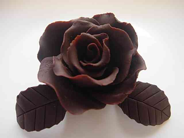 ついつい忘れてしまうこと