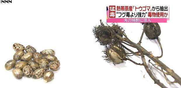 “毒殺”未遂、妻逮捕 夫「胃腸炎だと…」