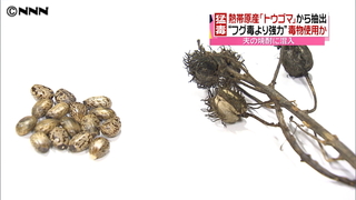 “毒殺”未遂、妻逮捕　夫「胃腸炎だと…」｜日テレNEWS24