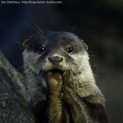 ついつい忘れてしまうこと