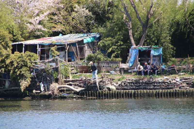 多摩川河川敷ホームレス村 （神奈川県川崎市） - 日本最大級と思われる河川敷ホームレス集落 - 東京DEEP案内