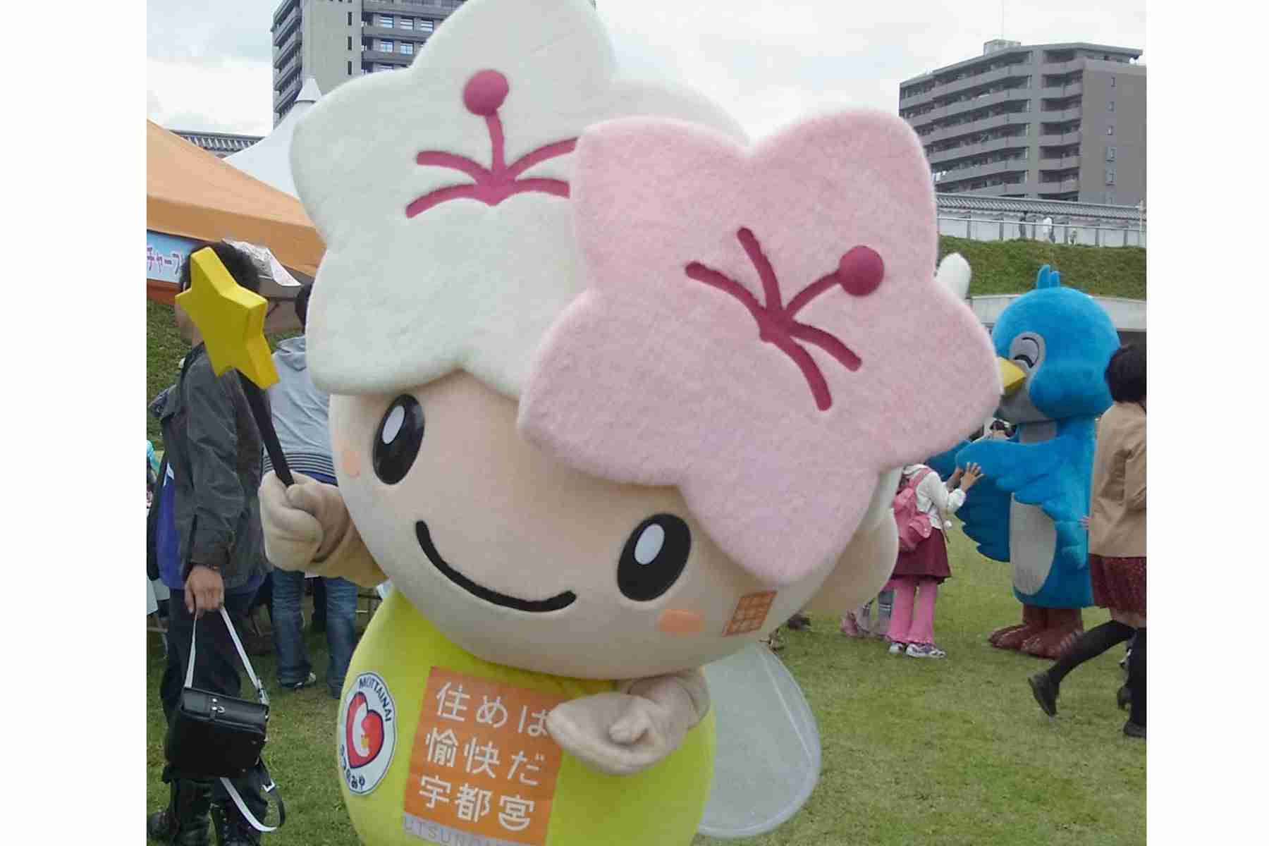 栃木県あるある