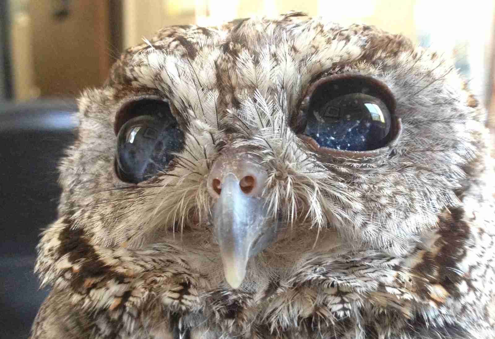 やる気スイッチ　オフになる事