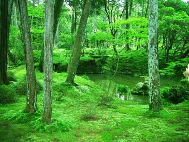 見に行きたくなる美しい写真！