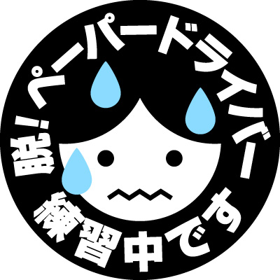 ペーパードライバー講習、行ってた人