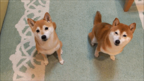 やる気スイッチ オフになる事