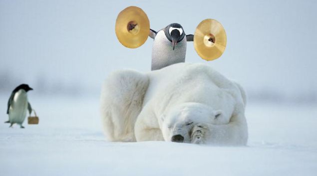 《画像》笑える動物の写真