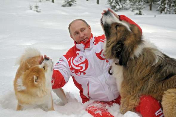 プーチン好きな人、画像貼るトピ