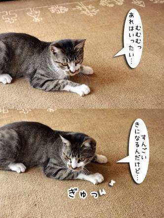 自分なりの健康法