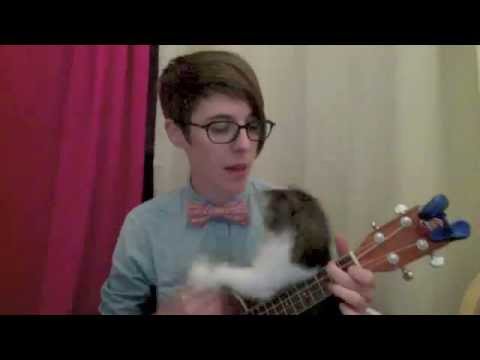 Nerdy Love Song with Added Kitten Bonus! - YouTube