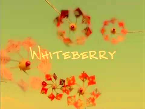 白ベリ　夏祭り　　　White berry～Summer festival～ - YouTube