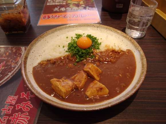【世界で一店鋪だけ】ココイチ名古屋ご当地メニューの「赤みそカレー」!! 味噌・青ネギ・豆腐のカレーらしくない顔ぶれが “癖になってしまう”&nbsp;魔法 | ロケットニュース24
