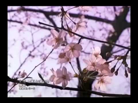 PV 剛 紫   空 ∼美しい我の空 - YouTube