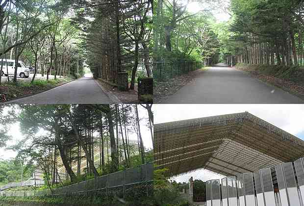 芸能人の自宅公開