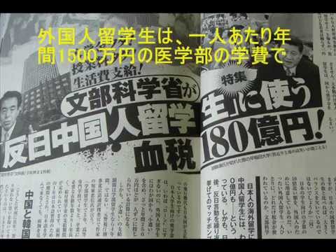 「卍」ナチス連想で三重の塔に…外国人向け地図記号
