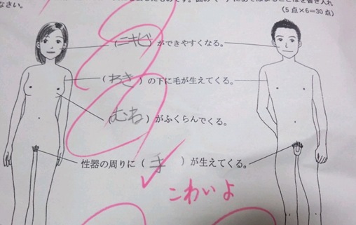 中学で勉強したことで覚えてること