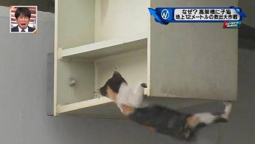 上手だと思うアナウンサー
