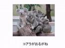 名古屋はええよ！やっとかめ - YouTube