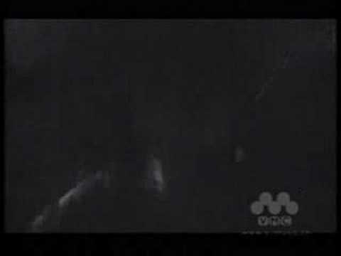 # Swallowtail Butterfly ～あいのうた～ - YENTOWN BAND - YouTube